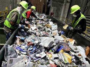 reciclaje del papel residuos organicos