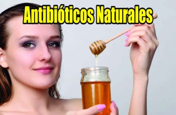 15 Antibióticos Naturales más Fuertes y sus Beneficios julio, 2024